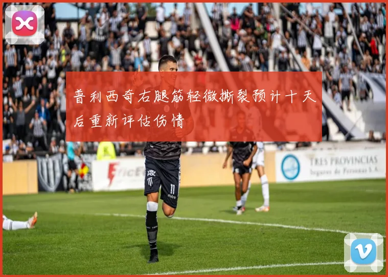 普利西奇右腿筋轻微撕裂预计十天后重新评估伤情