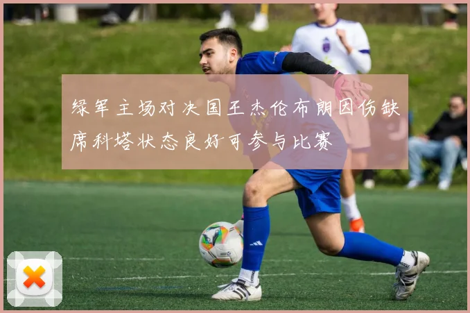 绿军主场对决国王杰伦布朗因伤缺席科塔状态良好可参与比赛