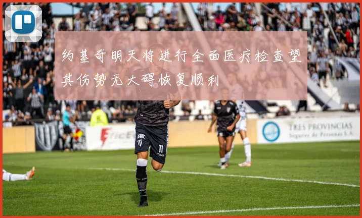 约基奇明天将进行全面医疗检查望其伤势无大碍恢复顺利